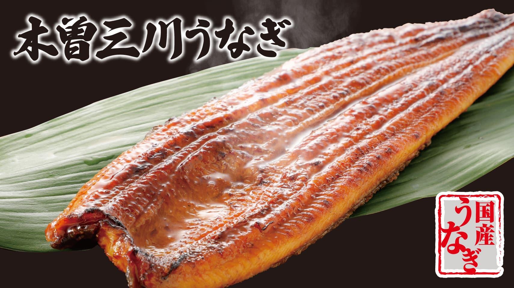 三重県産 木曽三川うなぎ
